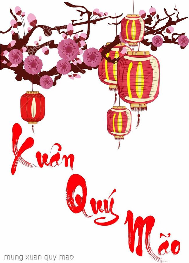 mung xuan quy mao